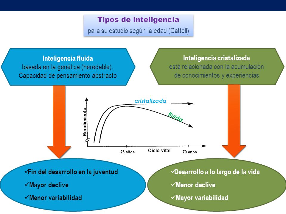 inteligencia fluida y cristalizada